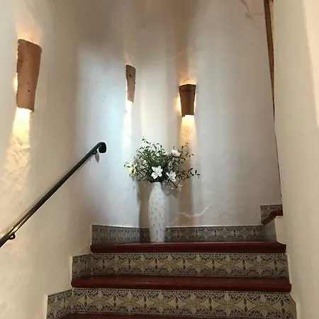 Benitos *